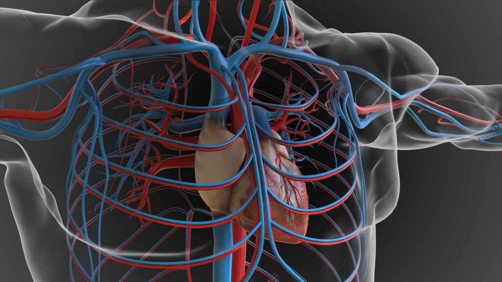 Angiologia a Quarrata - Studi Medici Gli Olmi - Pistoia - angiologo